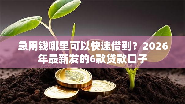 急用钱哪里可以快速借到？2026年最新发的6款贷款口子