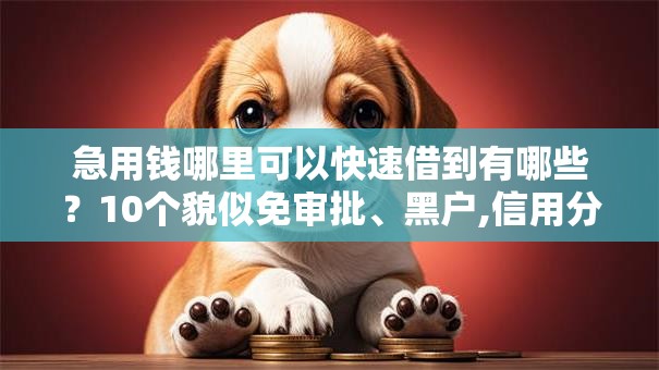 急用钱哪里可以快速借到有哪些？10个貌似免审批、黑户,信用分低平台可以借钱合集