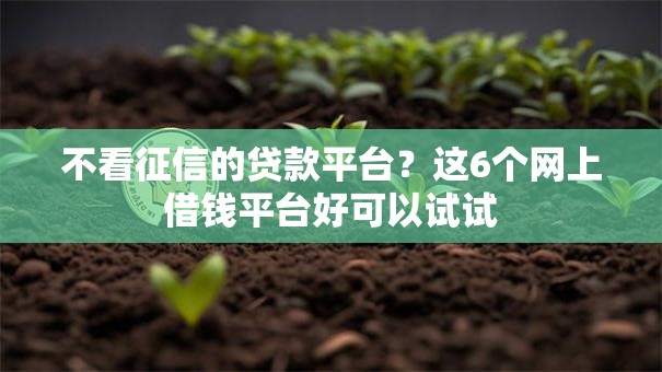 不看征信的贷款平台？这6个网上借钱平台好可以试试