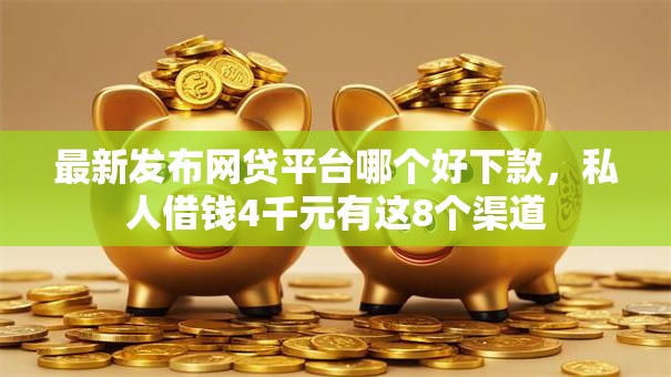 最新发布网贷平台哪个好下款，私人借钱4千元有这8个渠道