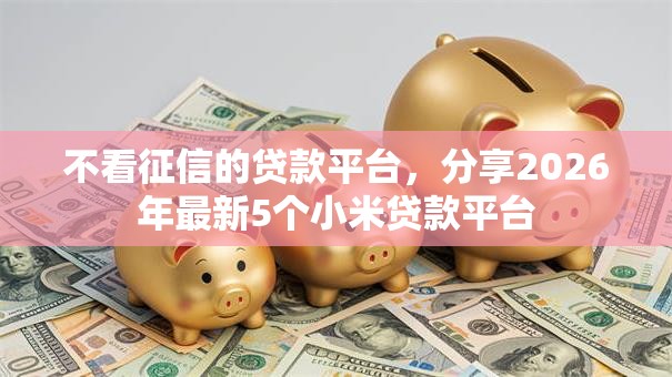 不看征信的贷款平台,分享2026年最新5个小米贷款平台 不看征信的贷款平台,分享2026年最新5个小米贷款平台