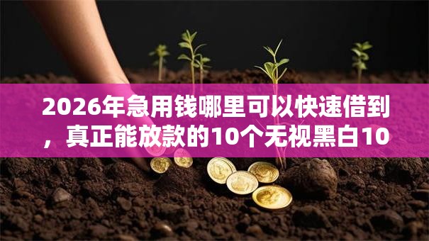 2026年急用钱哪里可以快速借到，真正能放款的10个无视黑白100%秒下网贷推荐