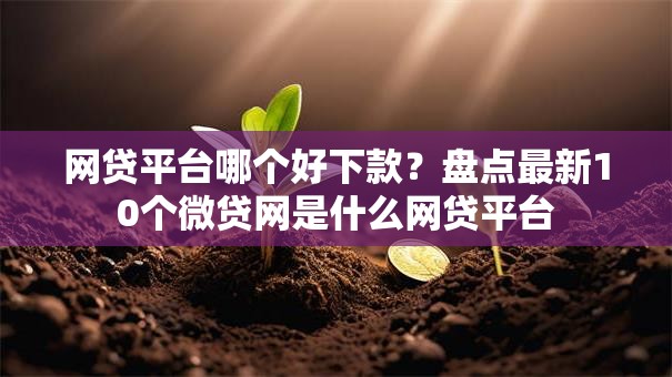 网贷平台哪个好下款？盘点最新10个微贷网是什么网贷平台