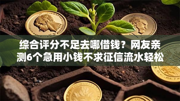 综合评分不足去哪借钱?网友亲测6个急用小钱不求征信流水轻松贷的口子盘点 综合评分不足去哪借钱?网友亲测6个急用小钱不求征信流水轻松贷的口子盘点