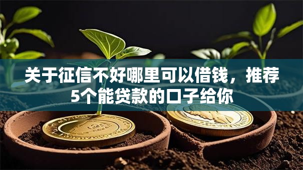 关于征信不好哪里可以借钱，推荐5个能贷款的口子给你