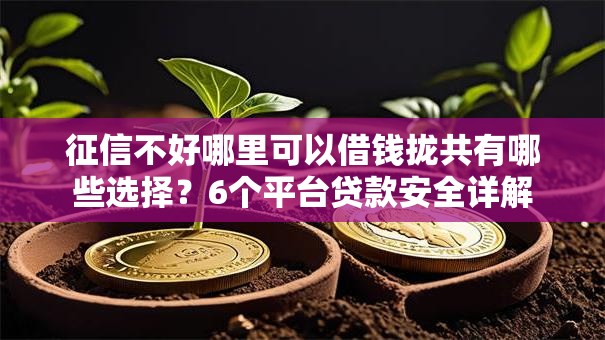 征信不好哪里可以借钱拢共有哪些选择?6个平台贷款安全详解 征信不好哪里可以借钱拢共有哪些选择?6个平台贷款安全详解