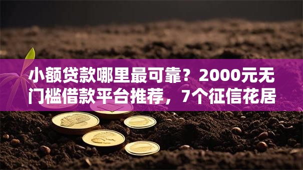 小额贷款哪里最可靠?2000元无门槛借款平台推荐,7个征信花居然都下款了的平台盘点 小额贷款哪里最可靠?2000元无门槛借款平台推荐,7个征信花居然都下款了的平台盘点