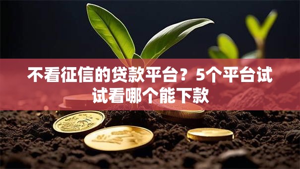 不看征信的贷款平台？5个平台试试看哪个能下款