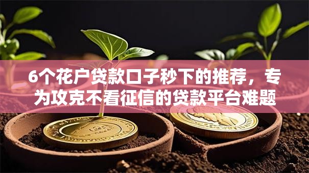 6个花户贷款口子秒下的推荐，专为攻克不看征信的贷款平台难题