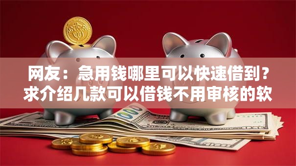 网友：急用钱哪里可以快速借到？求介绍几款可以借钱不用审核的软件