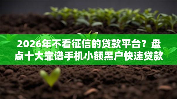 2026年不看征信的贷款平台？盘点十大靠谱手机小额黑户快速贷款软件