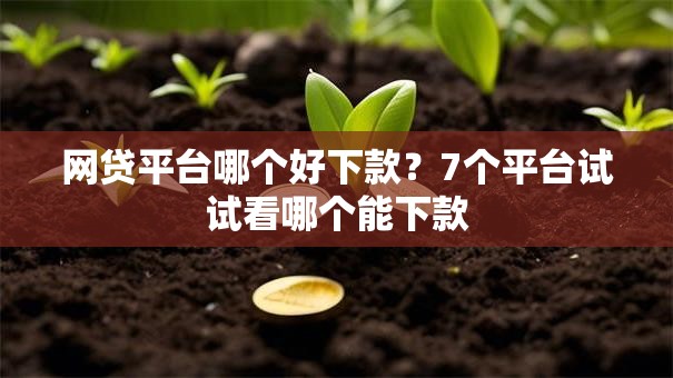 网贷平台哪个好下款？7个平台试试看哪个能下款