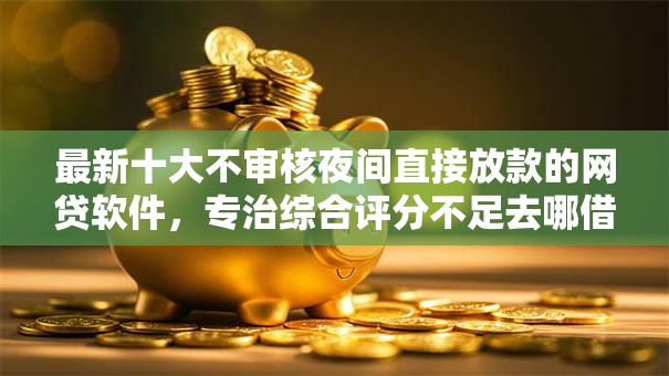 最新十大不审核夜间直接放款的网贷软件，专治综合评分不足去哪借钱