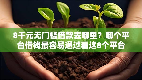 8千元无门槛借款去哪里？哪个平台借钱最容易通过看这8个平台