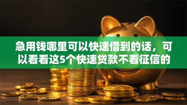 急用钱哪里可以快速借到的话，可以看看这5个快速贷款不看征信的平台
