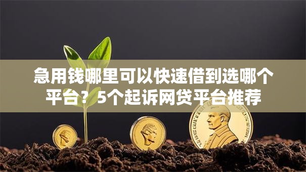 急用钱哪里可以快速借到选哪个平台？5个起诉网贷平台推荐