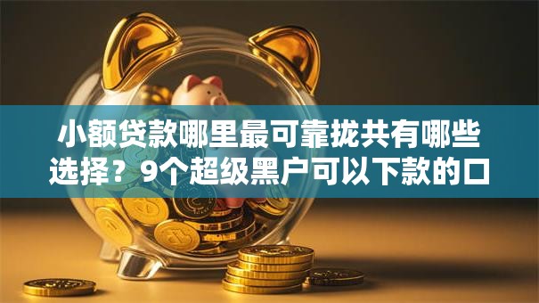 小额贷款哪里最可靠拢共有哪些选择？9个超级黑户可以下款的口子详解