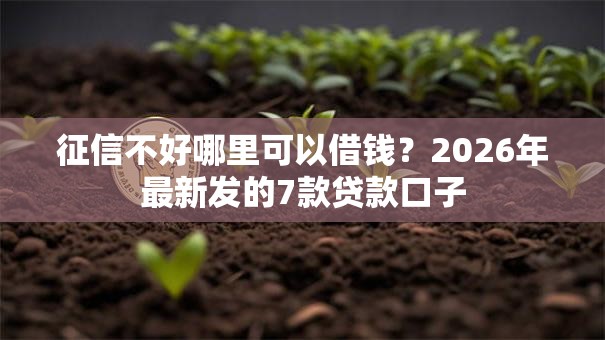 征信不好哪里可以借钱？2026年最新发的7款贷款口子