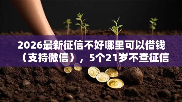 2026最新征信不好哪里可以借钱（支持微信），5个21岁不查征信的借款平台百分百通过无私分享