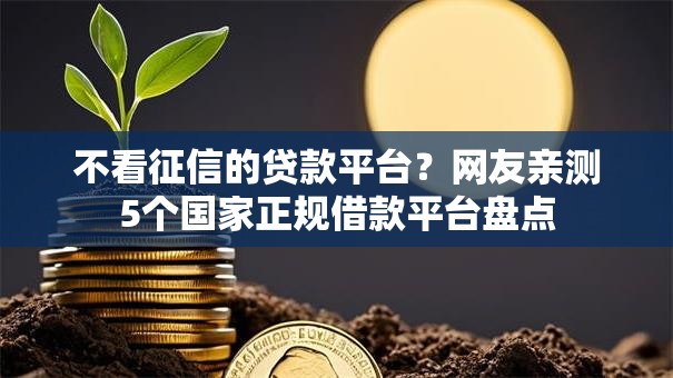 不看征信的贷款平台？网友亲测5个国家正规借款平台盘点