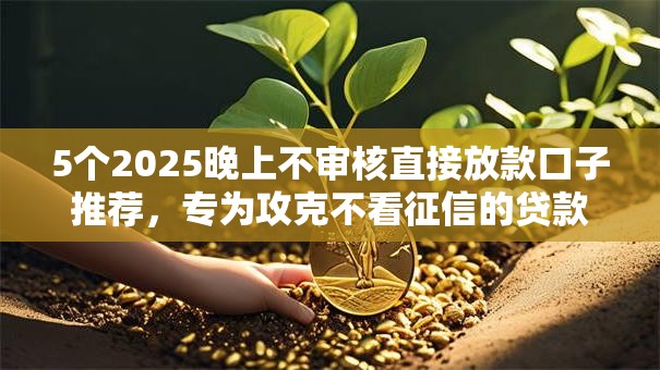 5个2025晚上不审核直接放款口子推荐,专为攻克不看征信的贷款平台难题 5个2025晚上不审核直接放款口子推荐,专为攻克不看征信的贷款平台难题