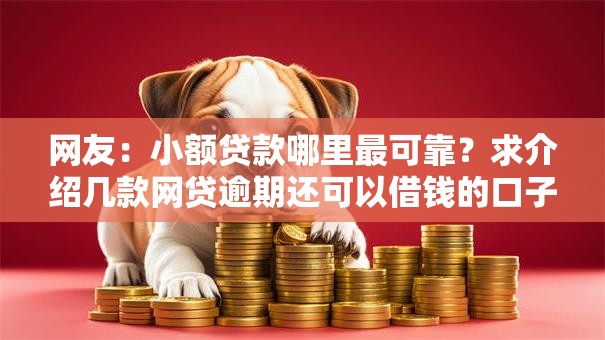 网友:小额贷款哪里最可靠?求介绍几款网贷逾期还可以借钱的口子 网友:小额贷款哪里最可靠?求介绍几款网贷逾期还可以借钱的口子
