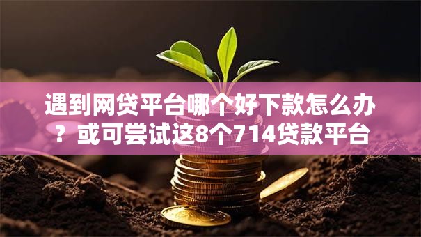 遇到网贷平台哪个好下款怎么办?或可尝试这8个714贷款平台 遇到网贷平台哪个好下款怎么办?或可尝试这8个714贷款平台