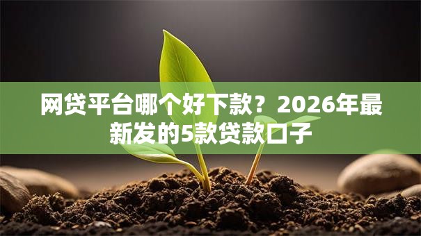 网贷平台哪个好下款？2026年最新发的5款贷款口子