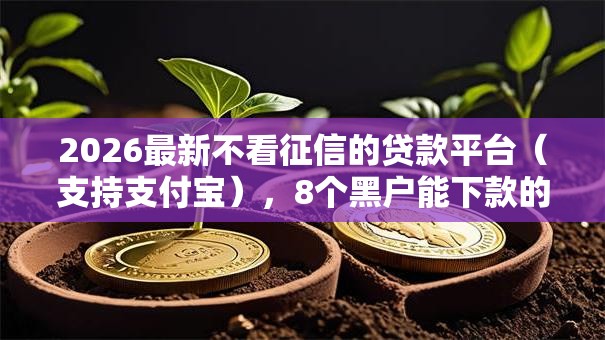 2026最新不看征信的贷款平台（支持支付宝），8个黑户能下款的平台无私分享