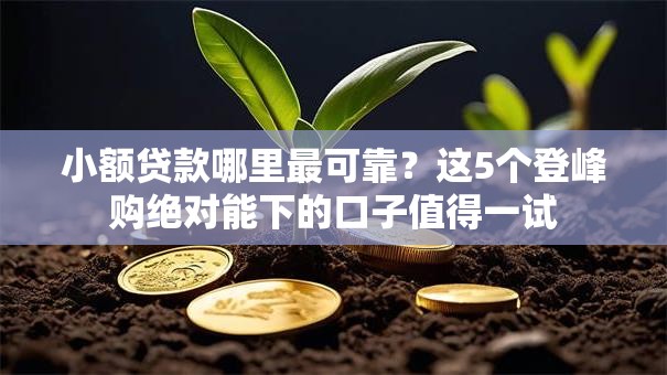 小额贷款哪里最可靠？这5个登峰购绝对能下的口子值得一试