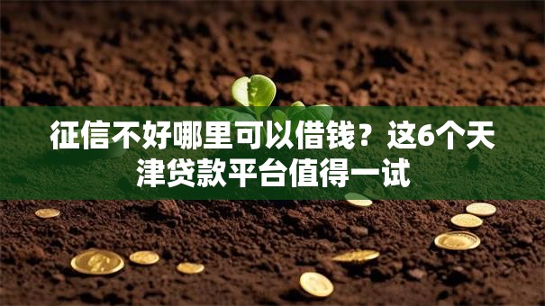 征信不好哪里可以借钱？这6个天津贷款平台值得一试