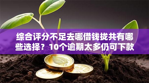 综合评分不足去哪借钱拢共有哪些选择？10个逾期太多仍可下款的平台详解