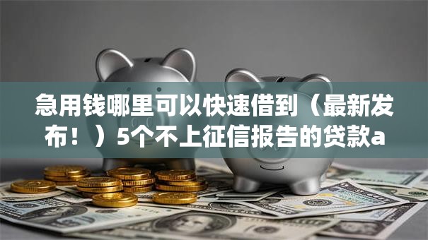 急用钱哪里可以快速借到（最新发布！）5个不上征信报告的贷款app