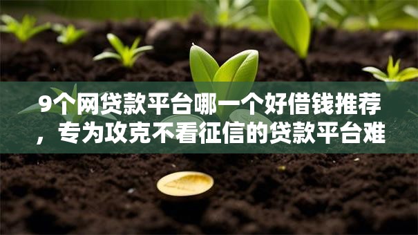 9个网贷款平台哪一个好借钱推荐，专为攻克不看征信的贷款平台难题