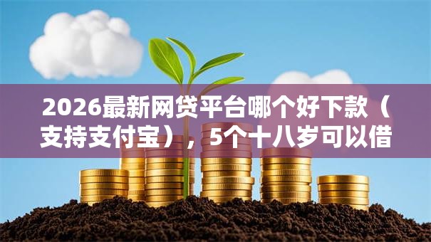 2026最新网贷平台哪个好下款（支持支付宝），5个十八岁可以借钱的平台无私分享