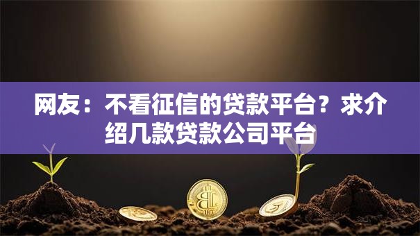 网友：不看征信的贷款平台？求介绍几款贷款公司平台