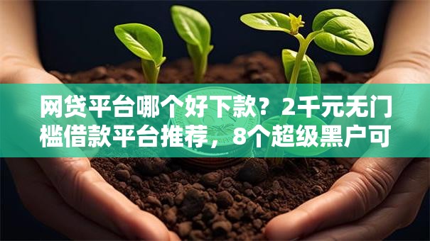 网贷平台哪个好下款？2千元无门槛借款平台推荐，8个超级黑户可以下款的口子盘点