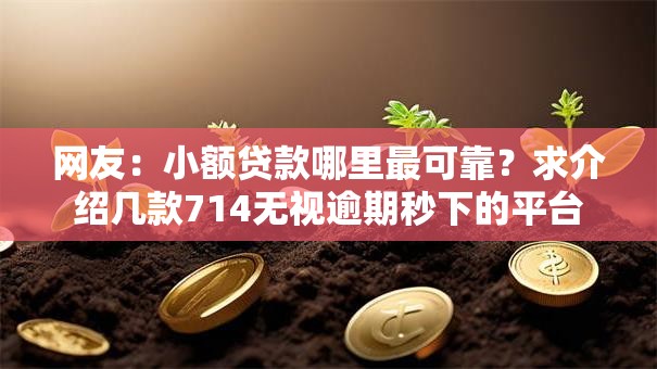 网友：小额贷款哪里最可靠？求介绍几款714无视逾期秒下的平台