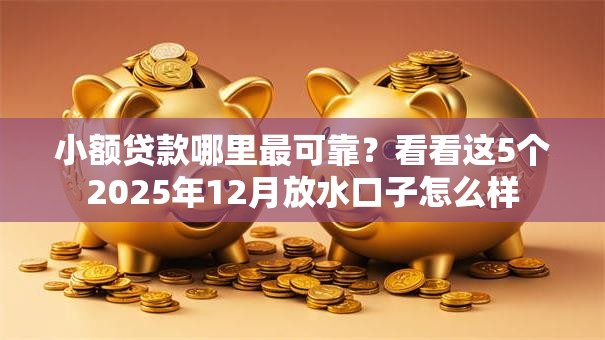 小额贷款哪里最可靠？看看这5个2025年12月放水口子怎么样