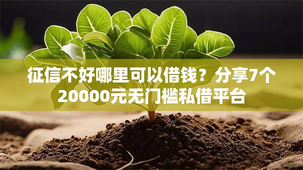 征信不好哪里可以借钱？分享7个20000元无门槛私借平台