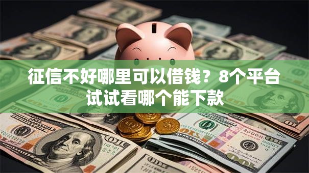 征信不好哪里可以借钱？8个平台试试看哪个能下款