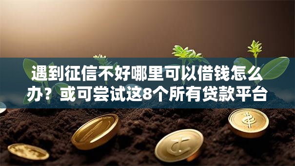 遇到征信不好哪里可以借钱怎么办？或可尝试这8个所有贷款平台名字大全