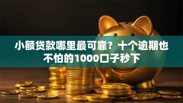 小额贷款哪里最可靠?十个逾期也不怕的1000口子秒下 小额贷款哪里最可靠?十个逾期也不怕的1000口子秒下