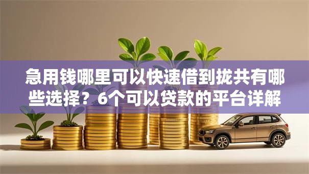 急用钱哪里可以快速借到拢共有哪些选择?6个可以贷款的平台详解 急用钱哪里可以快速借到拢共有哪些选择?6个可以贷款的平台详解