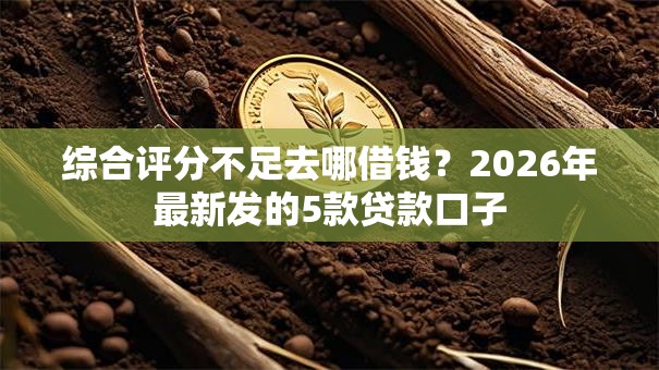 综合评分不足去哪借钱？2026年最新发的5款贷款口子