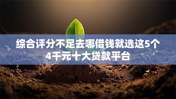综合评分不足去哪借钱就选这5个4千元十大贷款平台