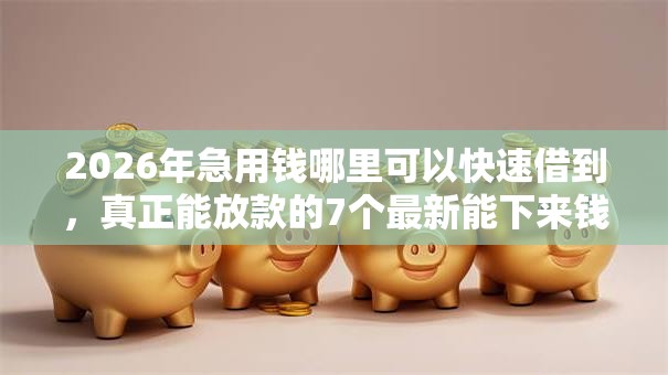 2026年急用钱哪里可以快速借到，真正能放款的7个最新能下来钱的口子推荐