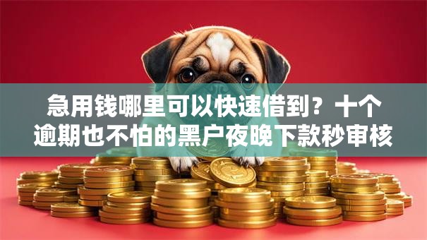 急用钱哪里可以快速借到?十个逾期也不怕的黑户夜晚下款秒审核的平台 急用钱哪里可以快速借到?十个逾期也不怕的黑户夜晚下款秒审核的平台