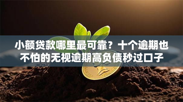小额贷款哪里最可靠？十个逾期也不怕的无视逾期高负债秒过口子