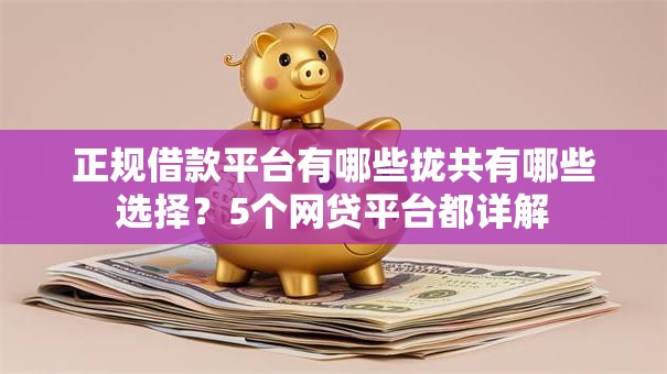 正规借款平台有哪些拢共有哪些选择？5个网贷平台都详解